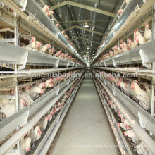 good price chicken cages for tanzania farm